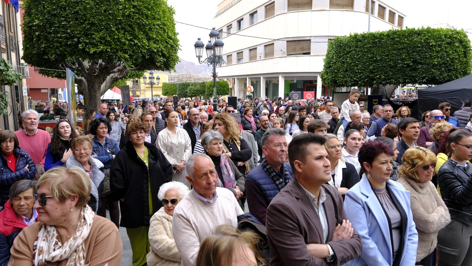 El Día de la Naranja en Gádor, en imágenes