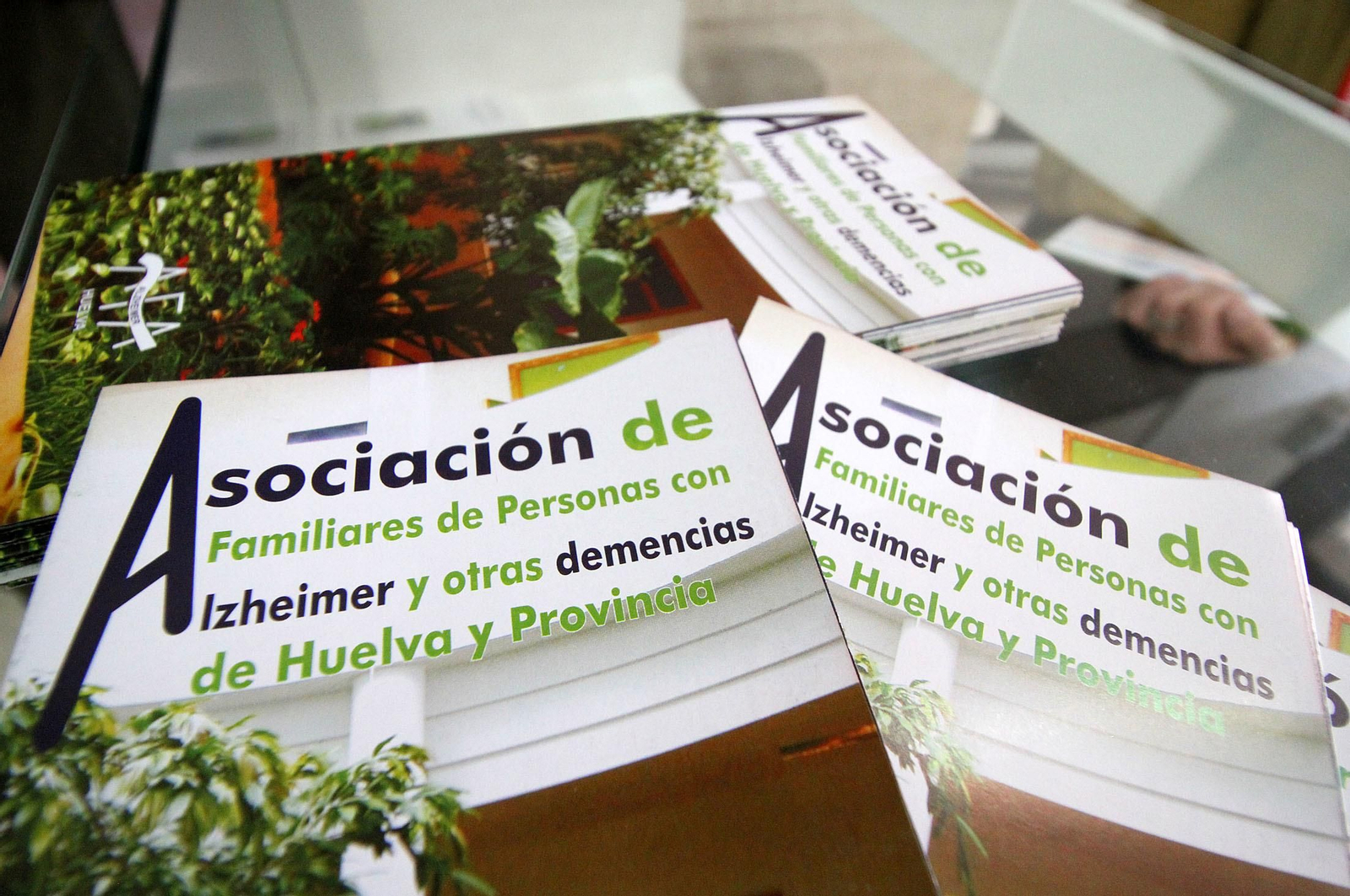 La Asociación de Familiares de personas con Alzheimer (AFA) realiza actividades en la Casa Colón, en imágenes