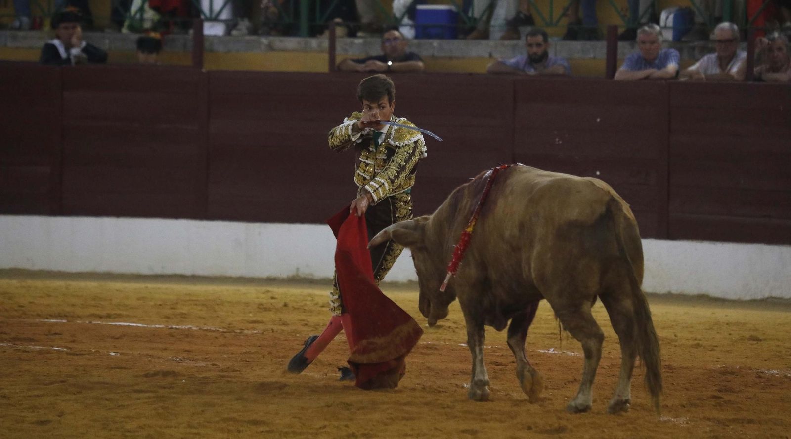 Fotos del triunfo de Manuel Roman y Javier Zulueta con la buena novillada de Núñez de Tarifa que abrió la Feria de La Línea