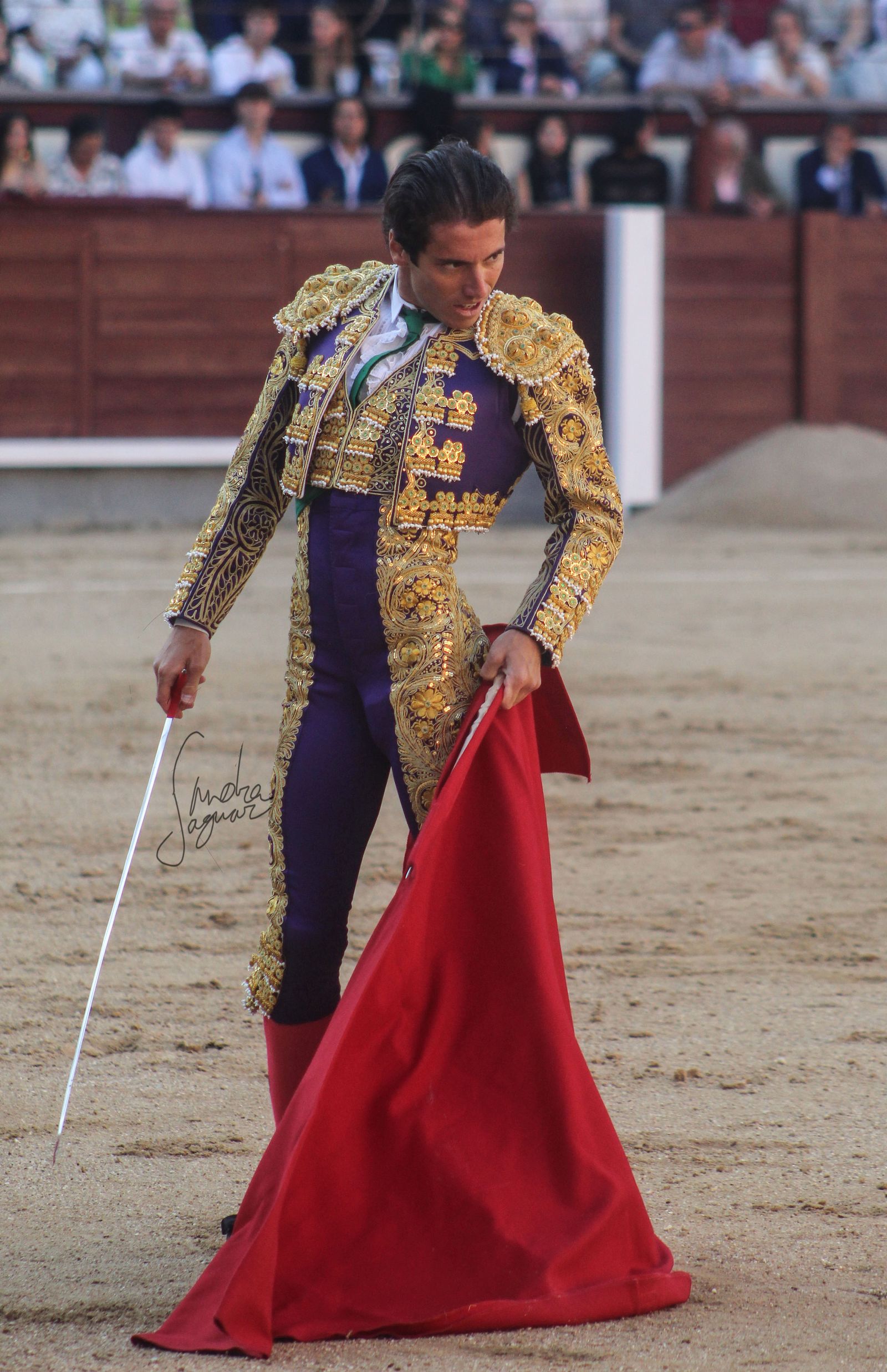 El novillero Santana Claros.