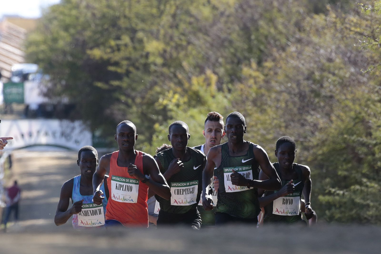 Las imágenes del Cross de Itálica