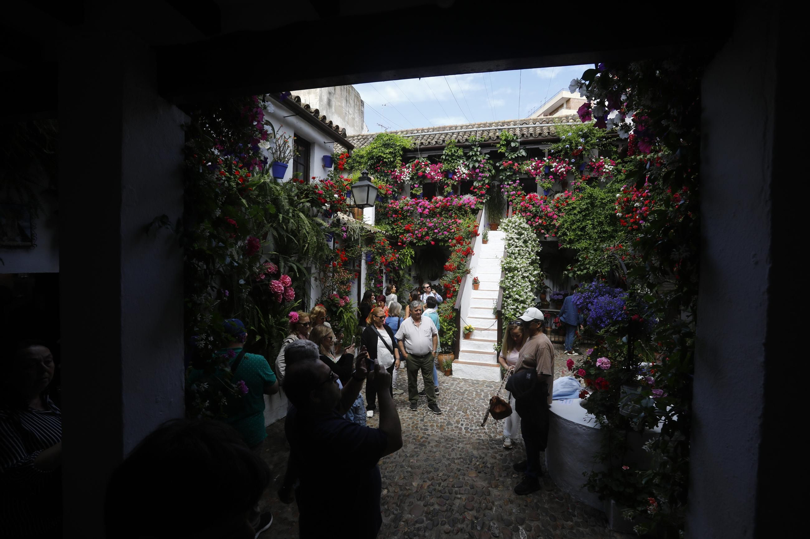 Colas e ilusión en el primer sábado de los Patios de Córdoba, en imágenes