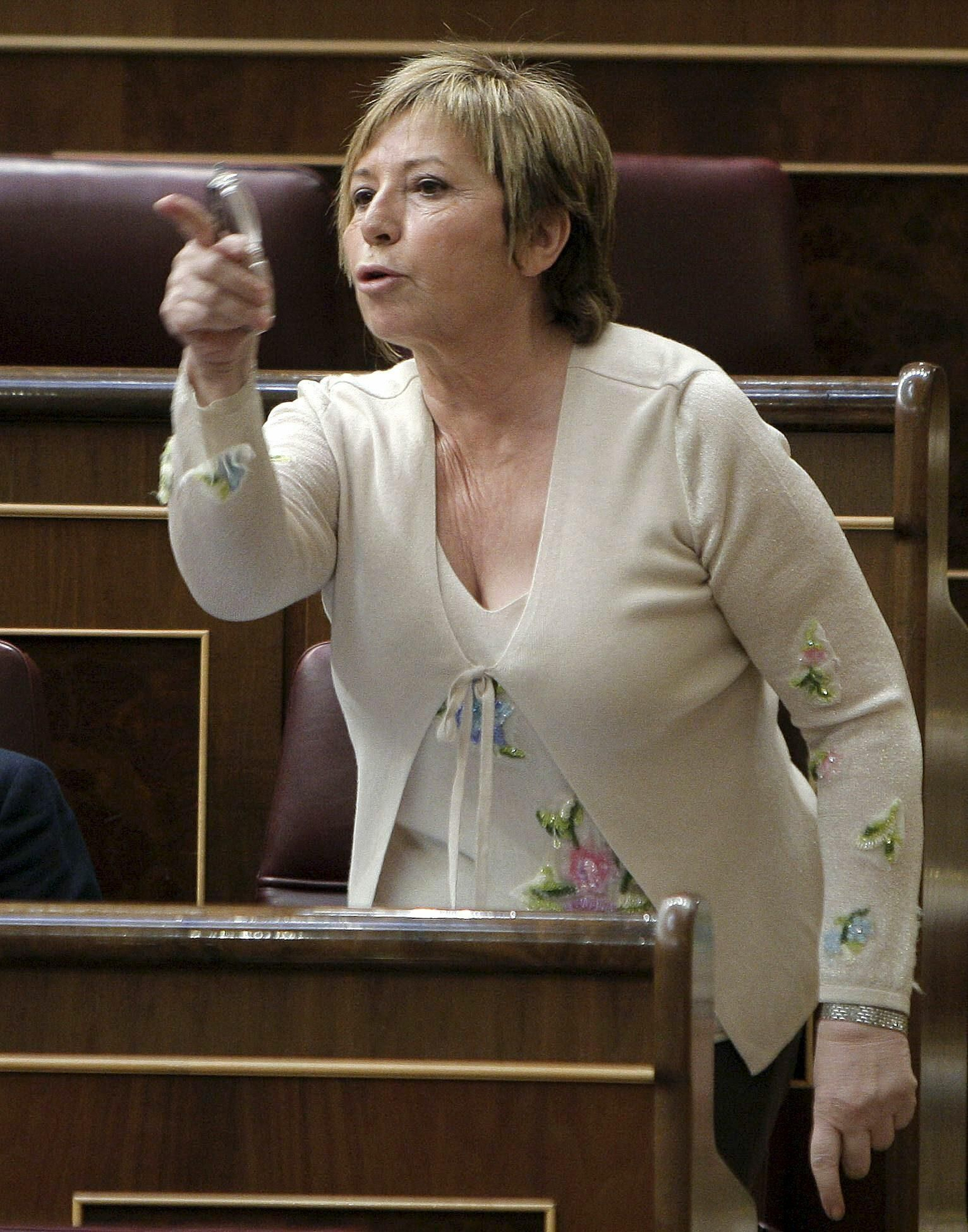 Celia Villalobos interviene en el Congreso.