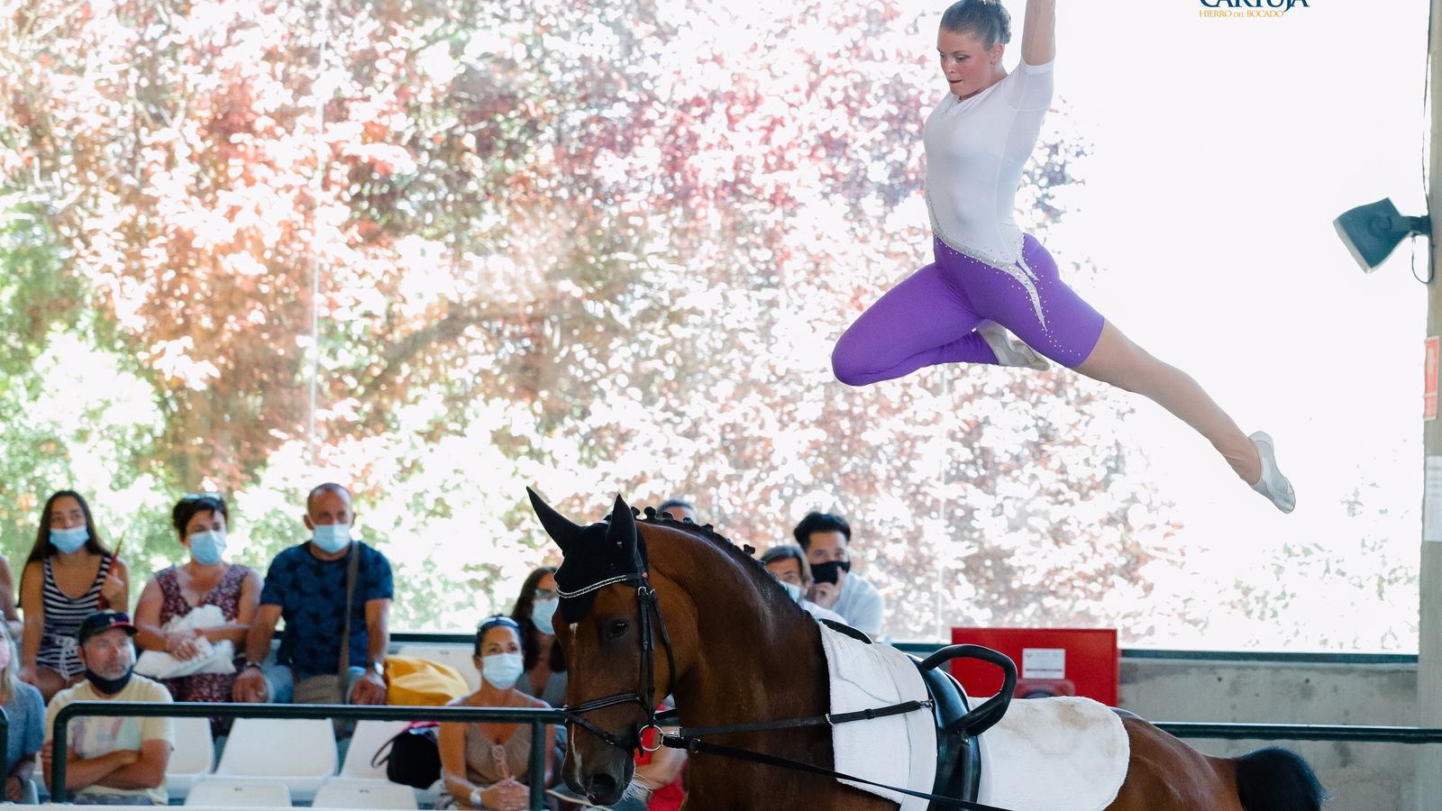 Espectacular movimiento.