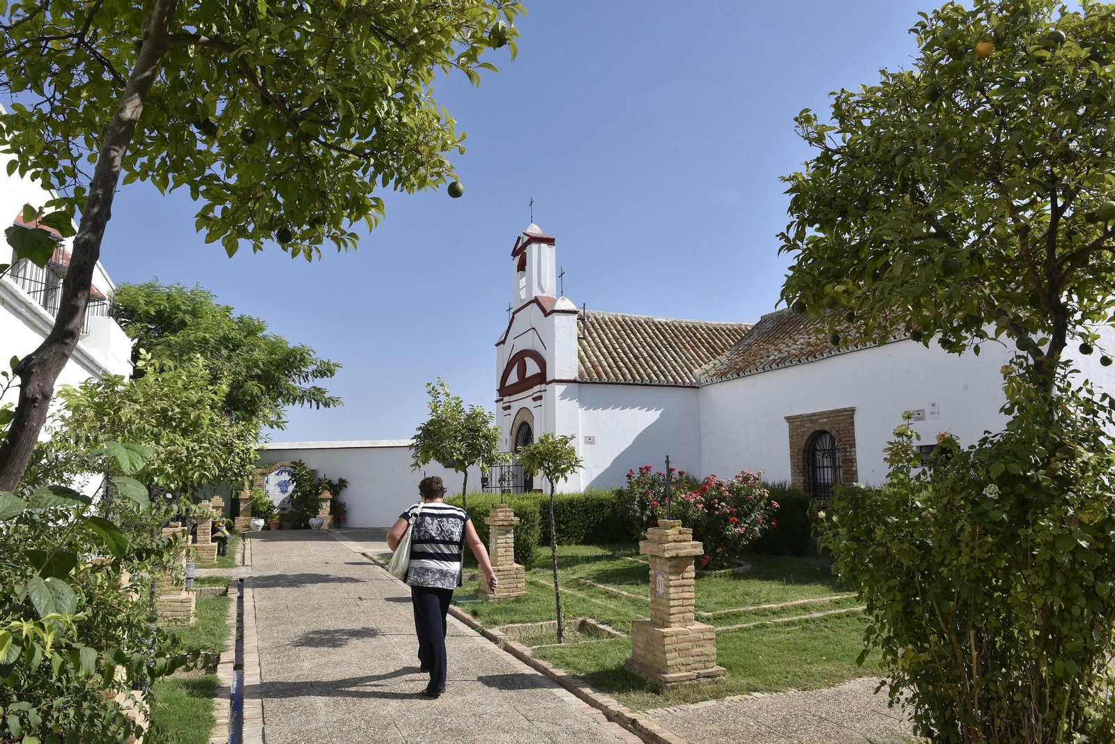 Fuentes de Andalucía, en imágenes