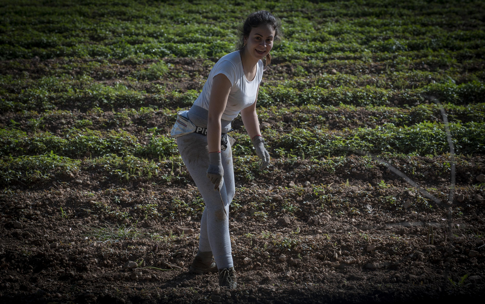 La resistencia en los pueblos de Sevilla al Coronavirus: Lantejuela