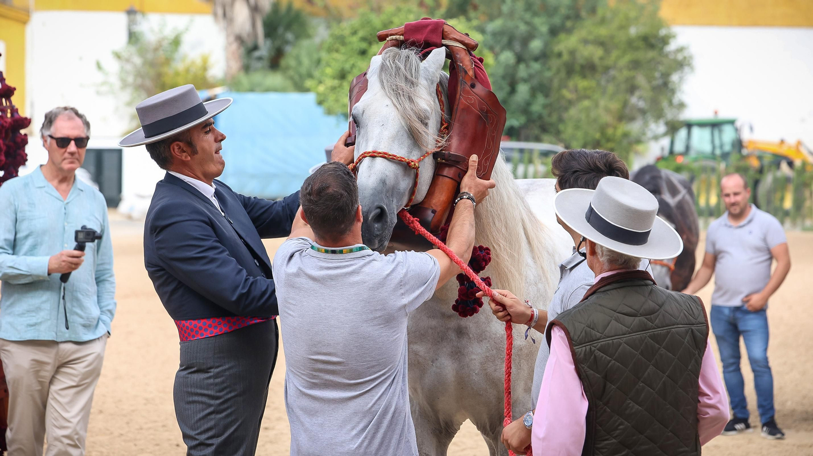 'Día Mundial del Caballo' en la Real Escuela de Jerez