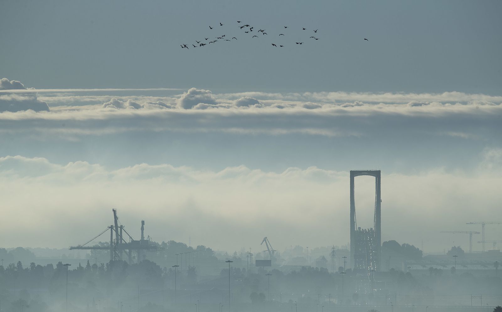 La niebla cubre Sevilla