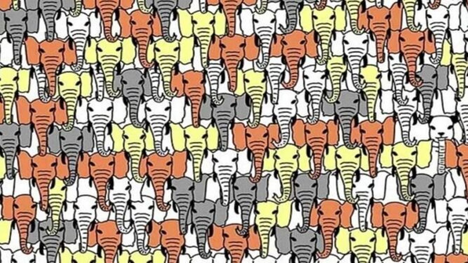 Despierta tu agudeza visual y encuentra al oso panda entre los elefantes