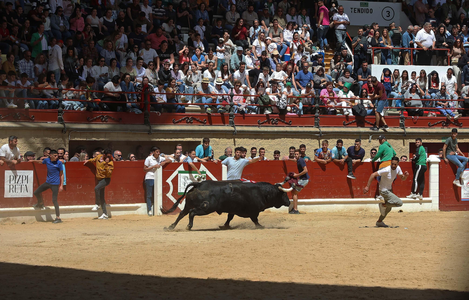 Las mejores fotos del Toro Embolao de Los Barrios 2024