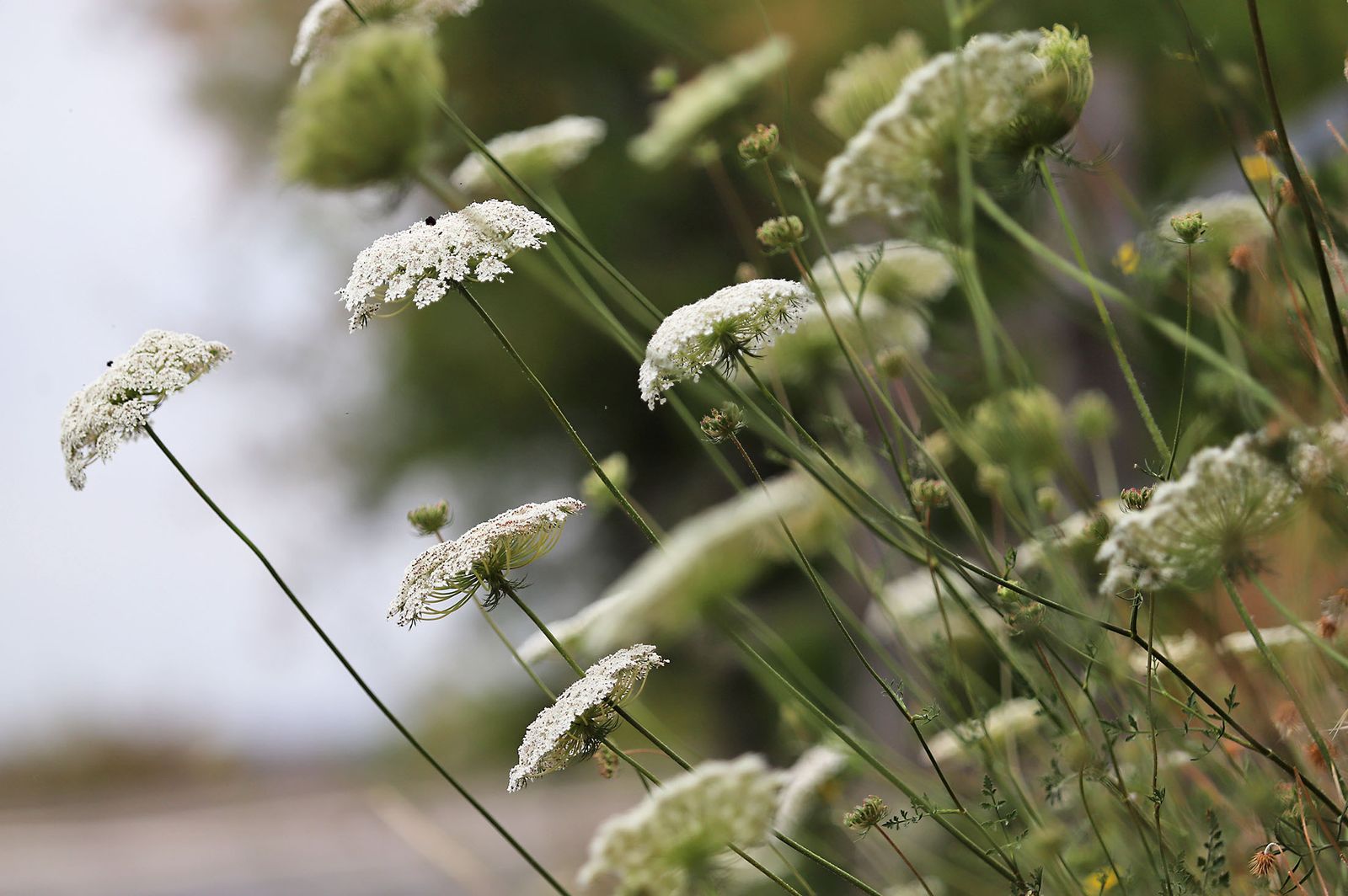 Las imágenes más destacadas del domingo 21 de mayo en Huelva