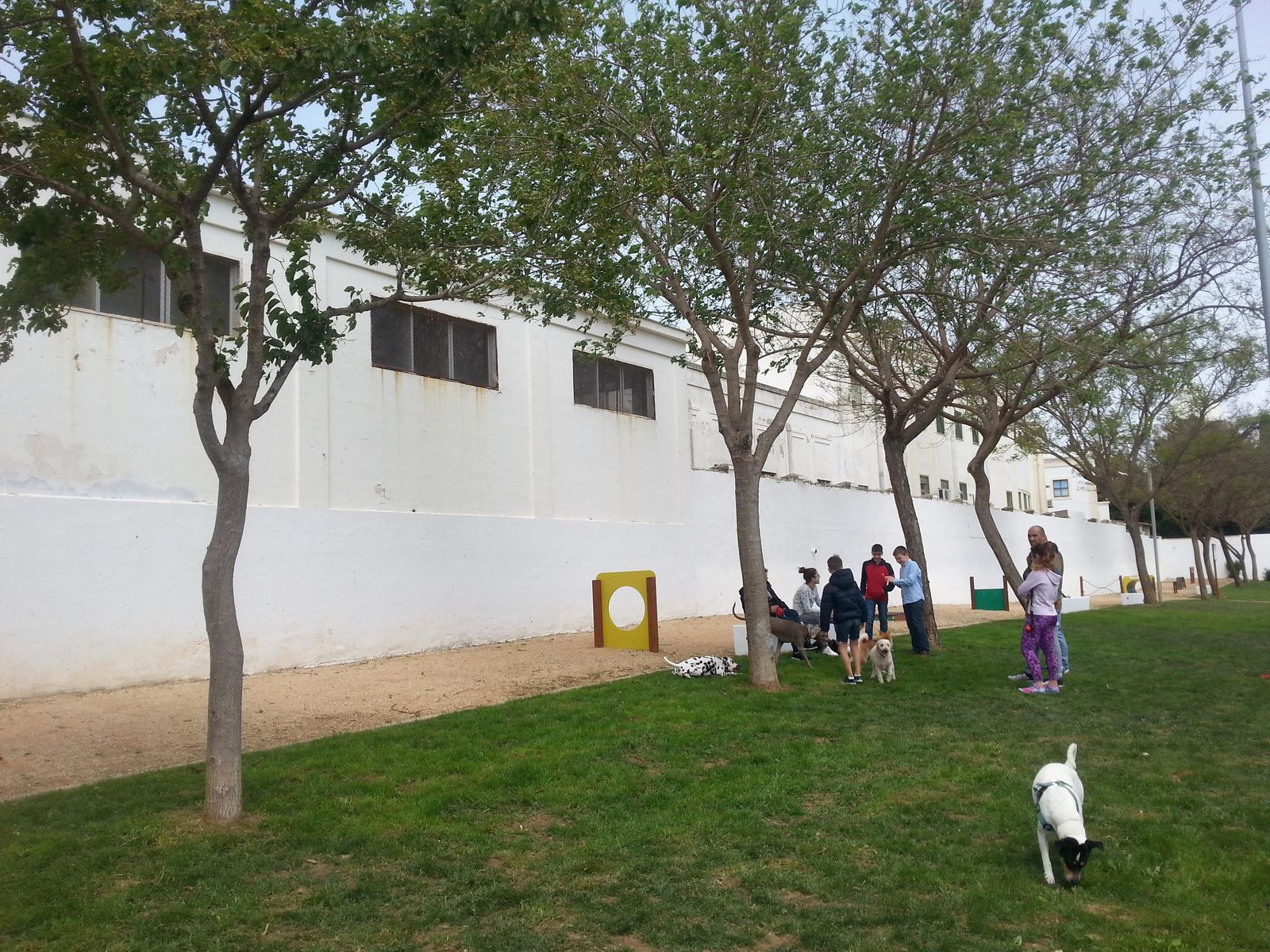 Espacio donde se sitúan los aparatos de 'agility' para perros en el Barrero.
