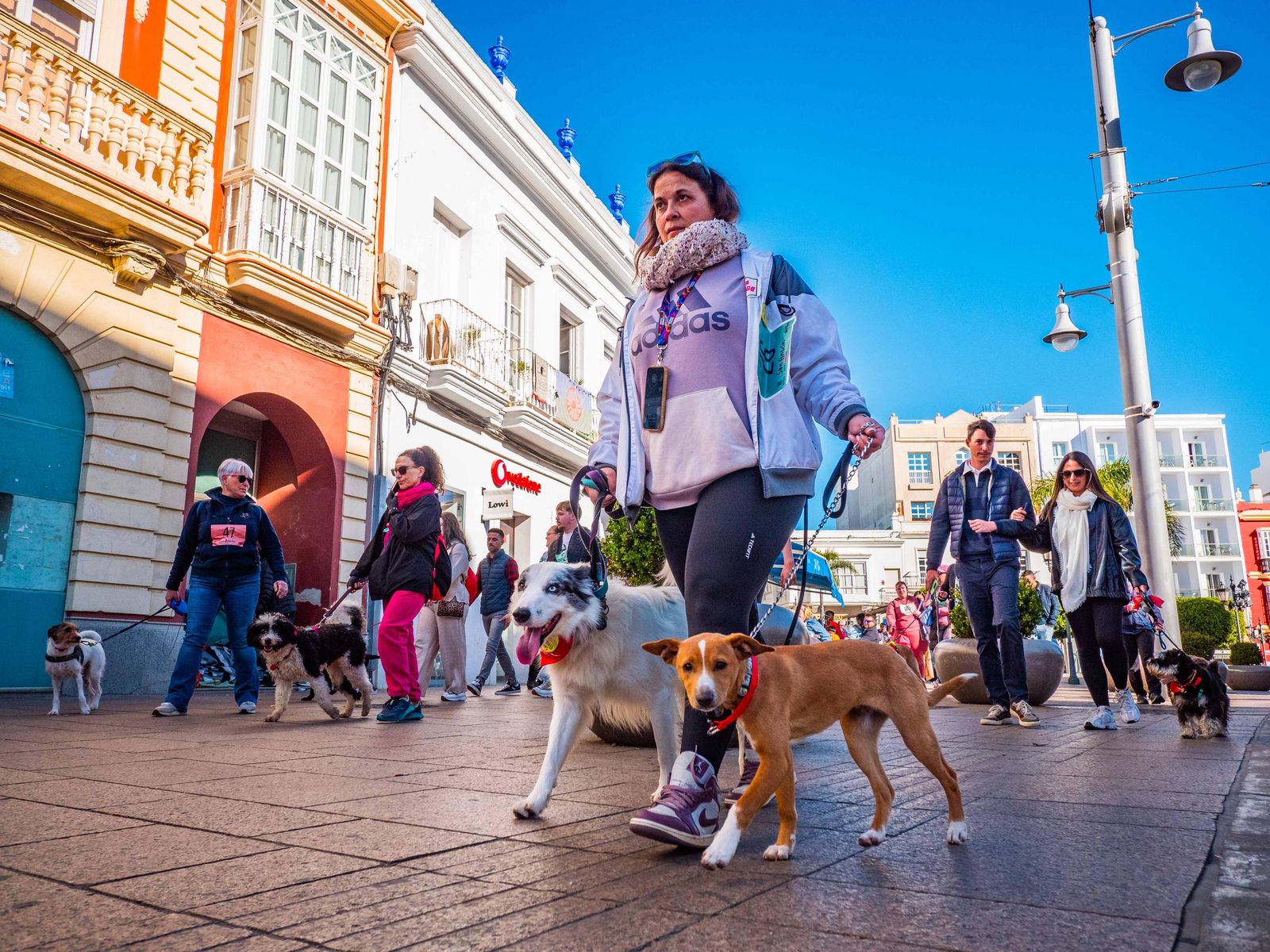 Las imágenes de San Antón 2025 en San Fernando