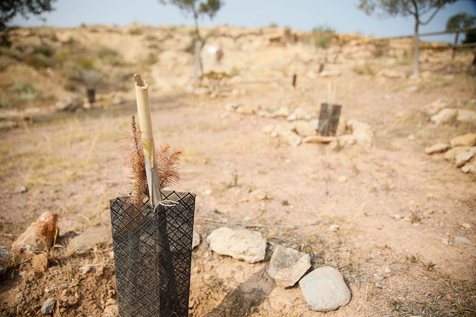 Presentación proyecto custodia compartida del Cordel de la Campita de Almería