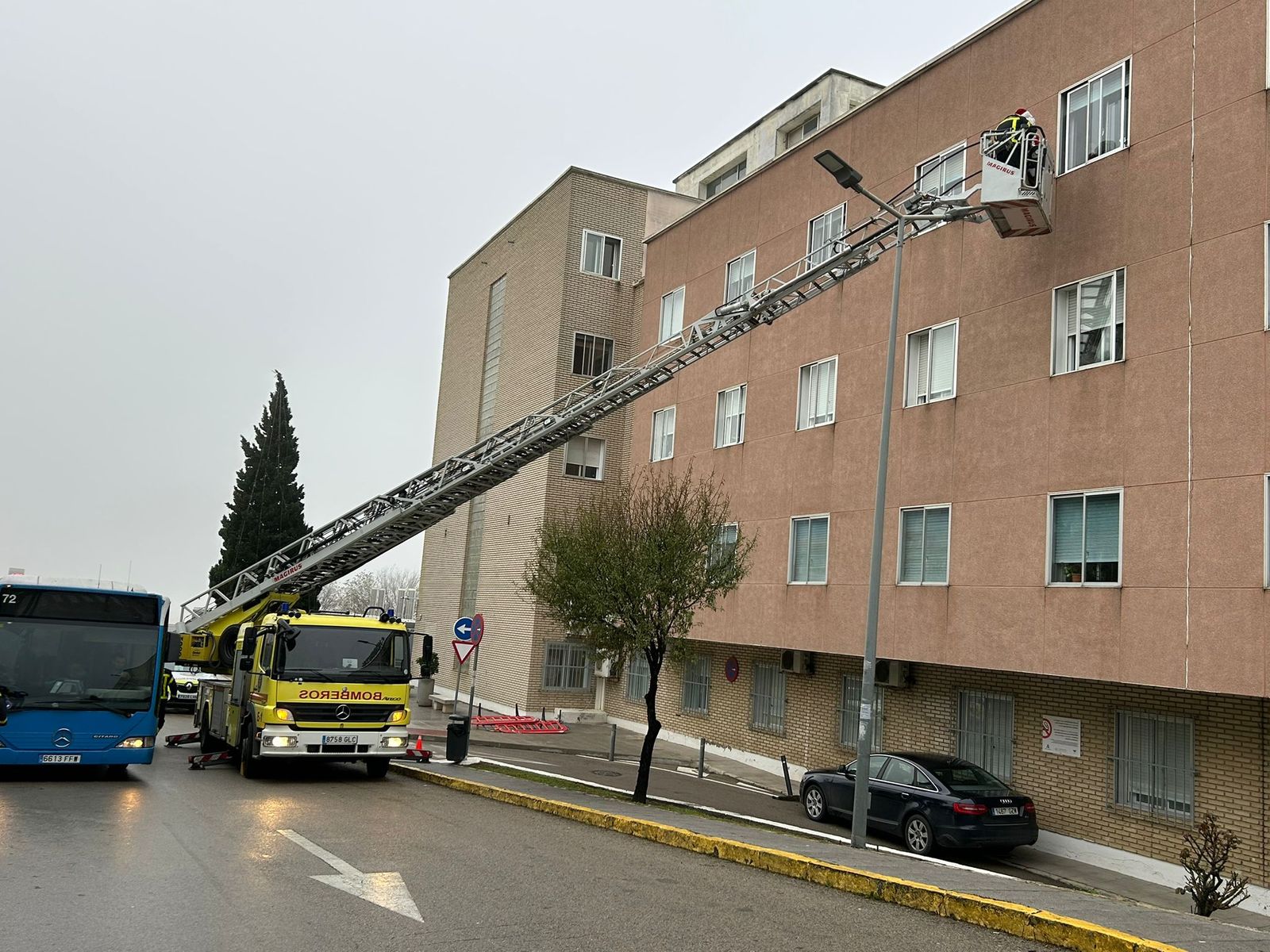 WhatsApp Image 2025-12-25 at 10.51.59 (5)