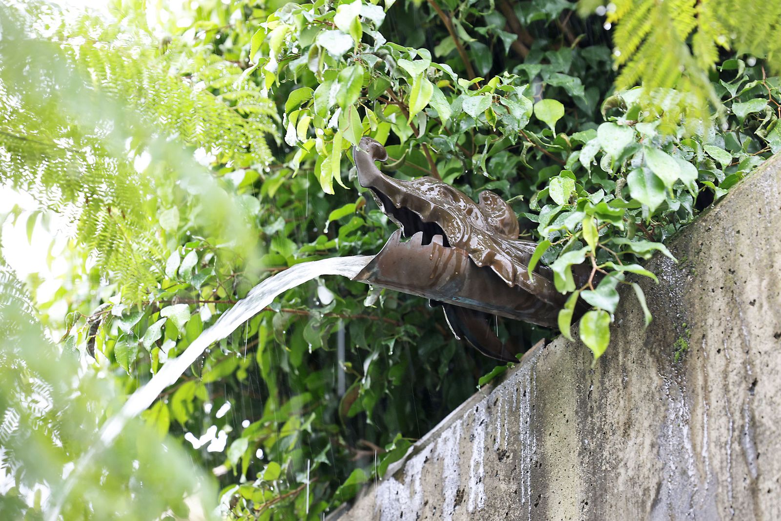 Las imágenes más destacadas del sábado 25 de enero en Huelva