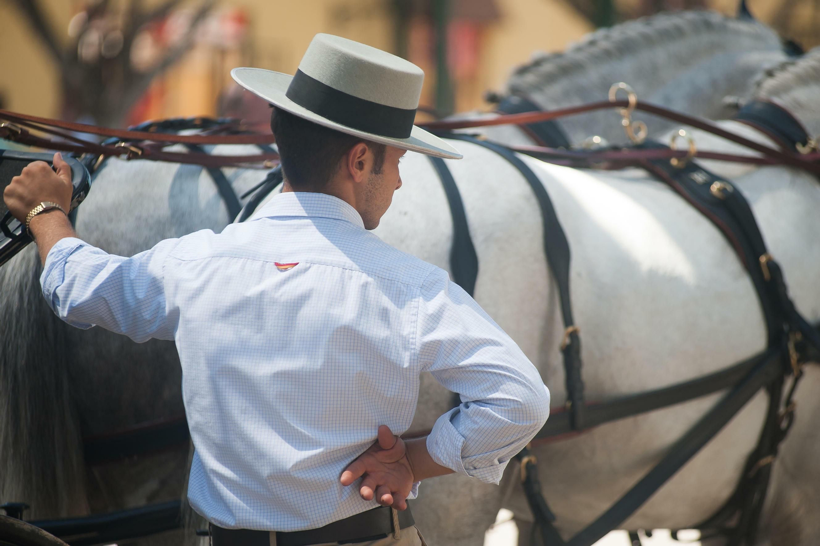 Fotos de este viernes en la Feria de Málaga Fotos de este viernes en la Feria de Málaga