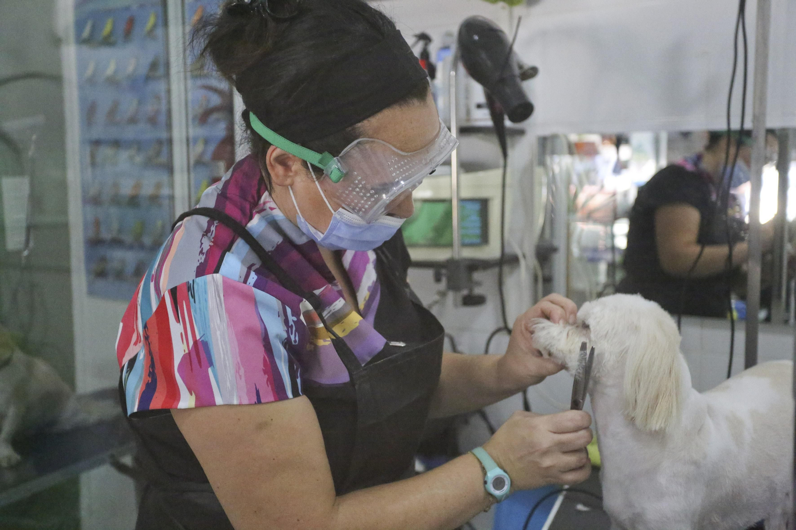Las fotos de la primera jornada de la fase 0 de la desescalada en Málaga