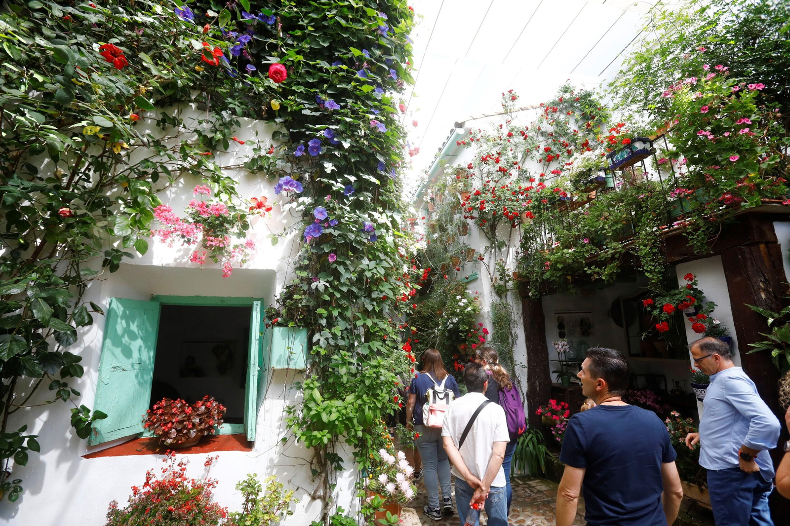 Las mejores imágenes del último día de Patios en Córdoba