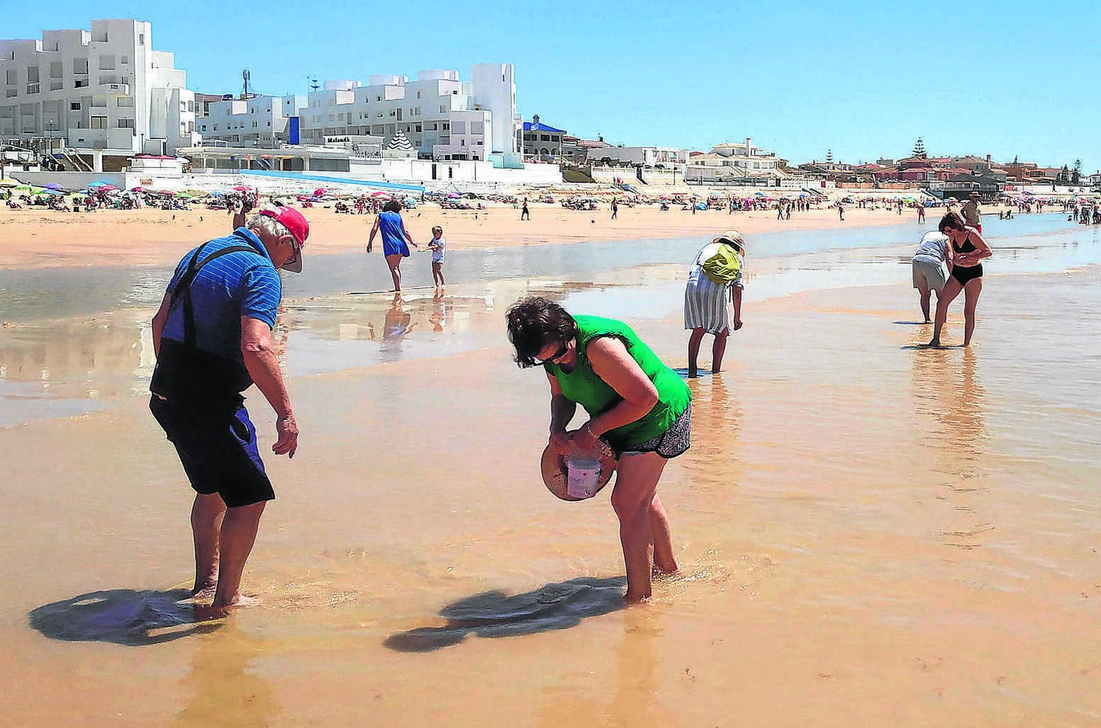 Unos bañistas cogiendo coquinas en la Playa de Matalascañas.
