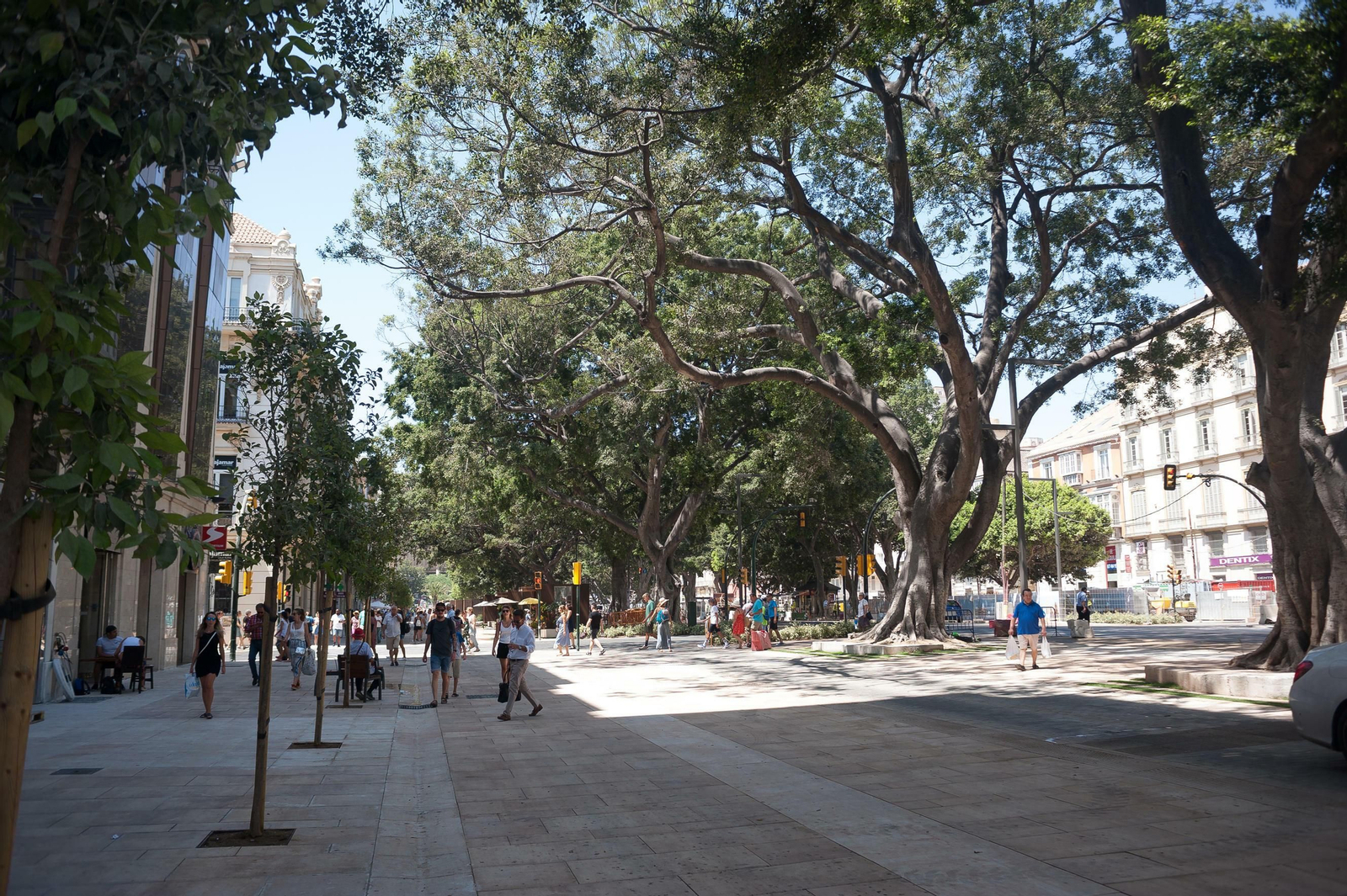 Fotos de los últimos detalles de la obra de la nueva Alameda