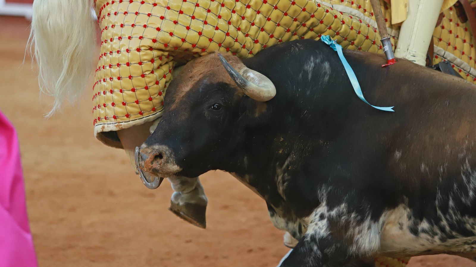 Las mejores fotos de la Corrida Goyesca de Algeciras