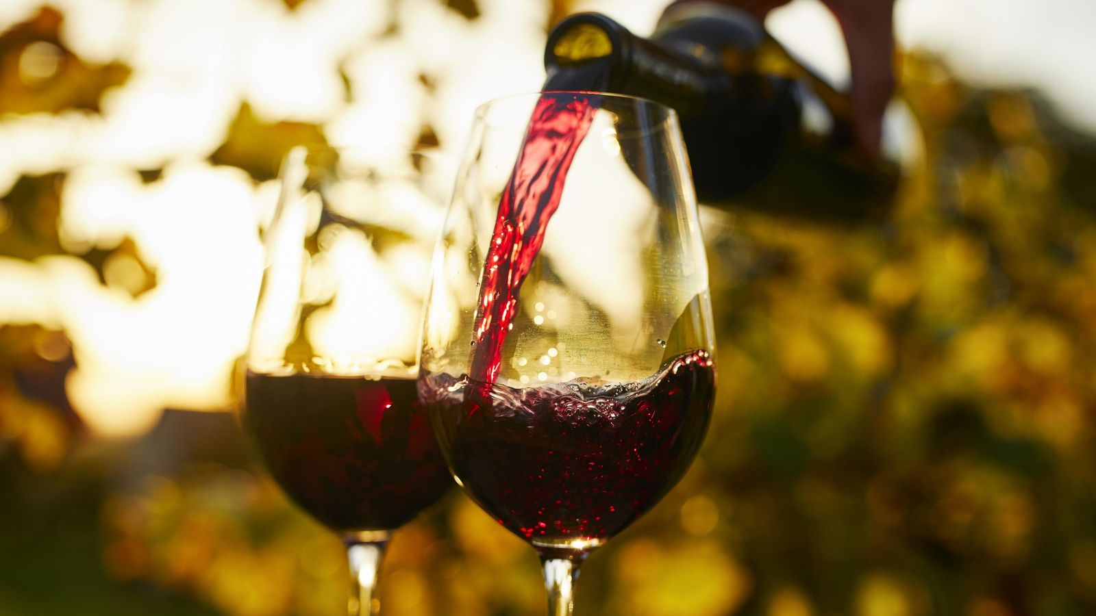 VINO VINO