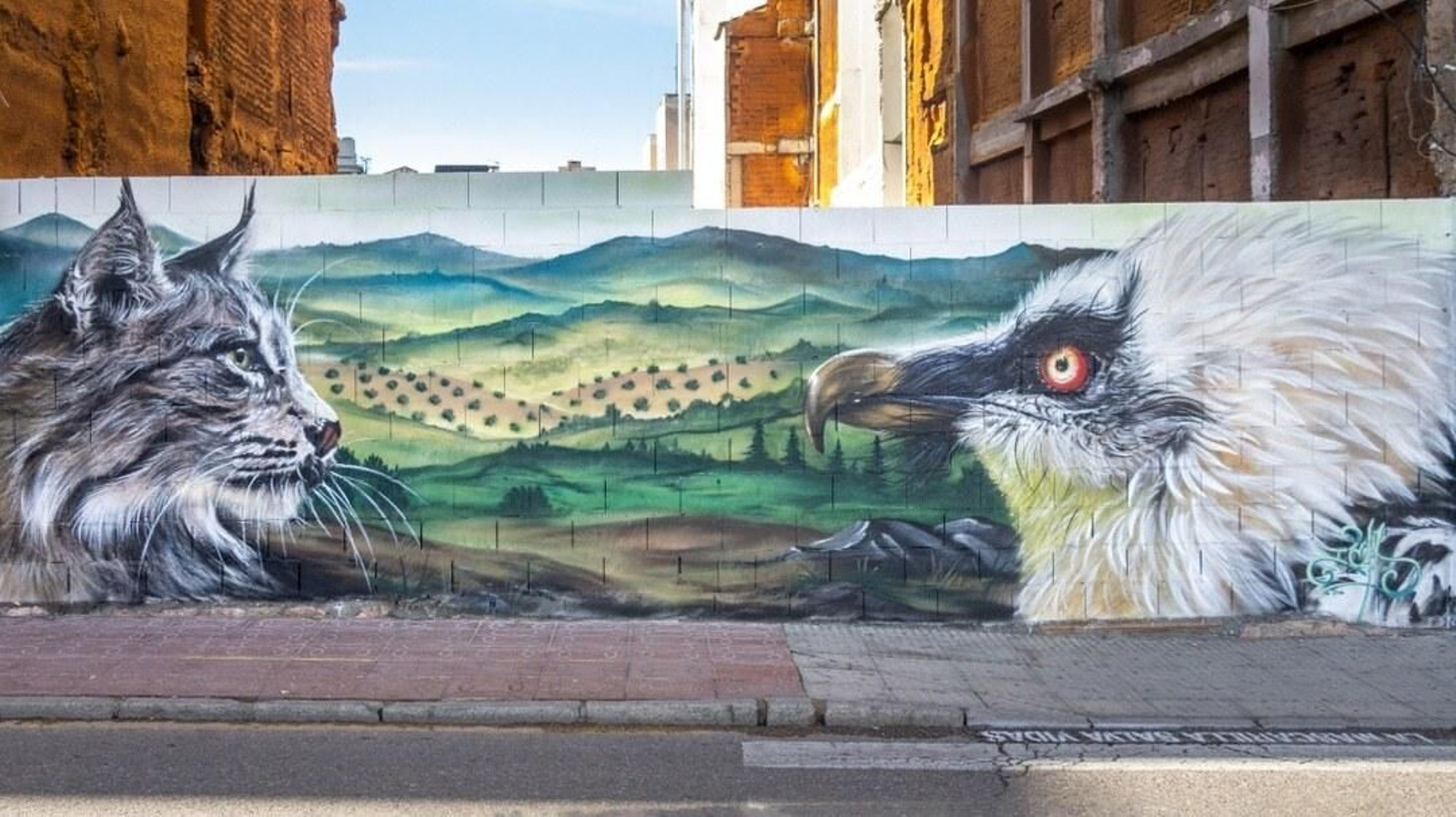 Lince y quebrantahuesos