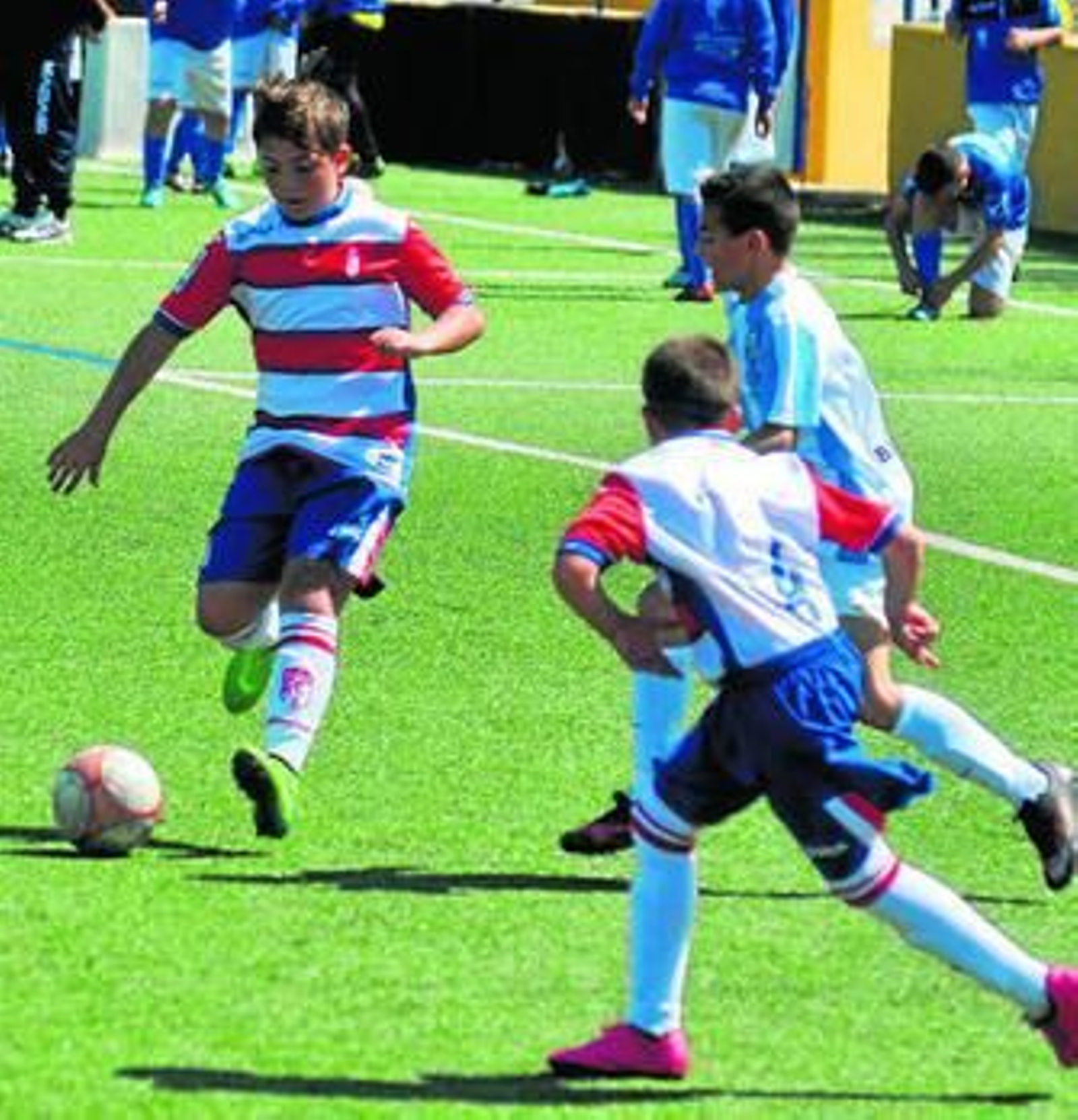 Los equipos del Granada no tuvieron suerte en ninguna de las finales.