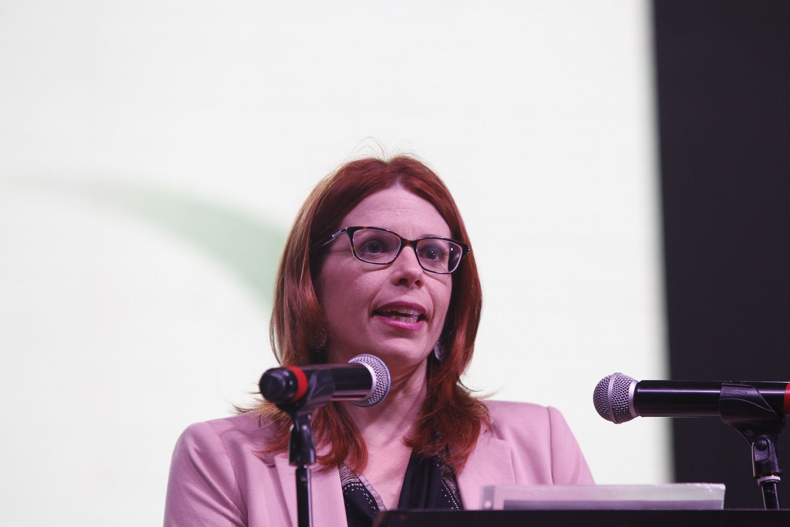 Fotogalería Fiestas Huércal de Almería