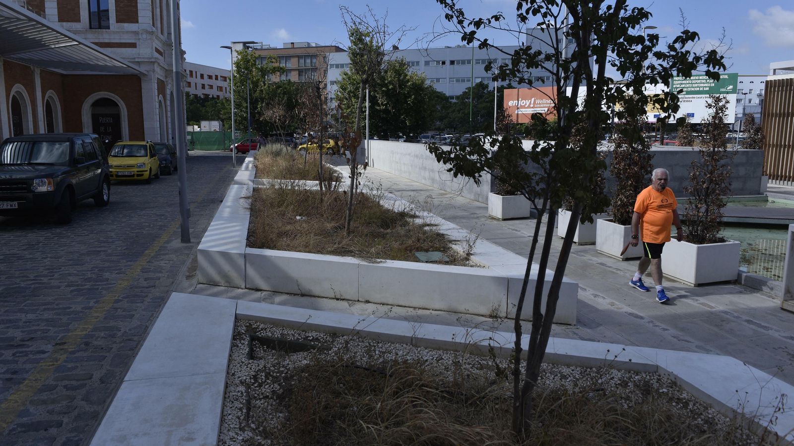 Un deportista cruza por los parterres abandonados.