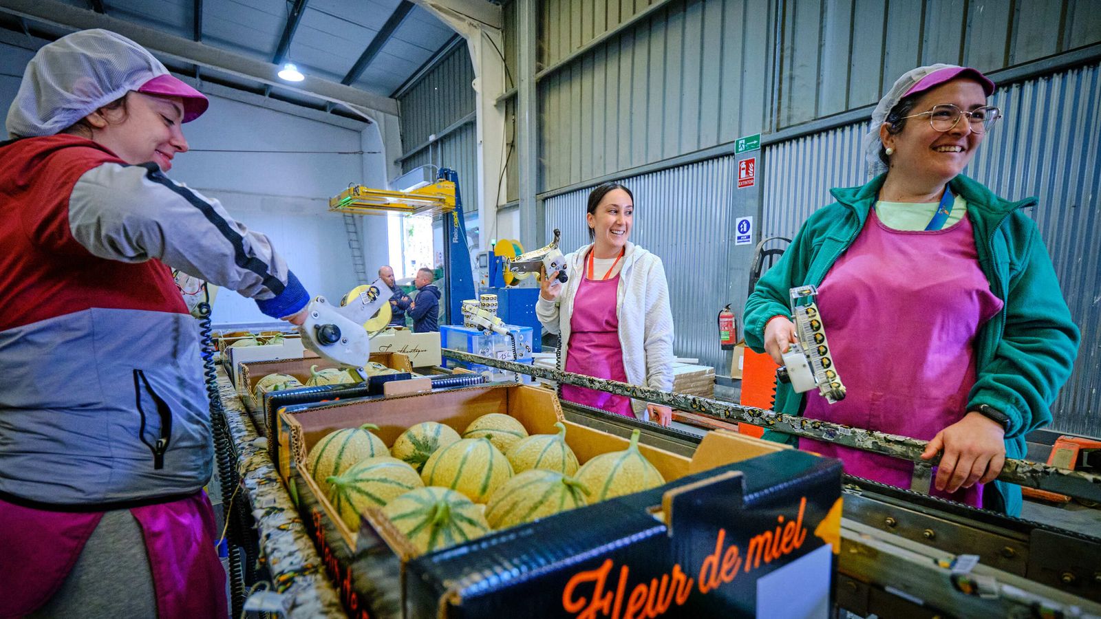 Interior de la firma Sur Fruits, de donde salen 9.000 toneladas de melones al año en dirección sobre todo a Francia.