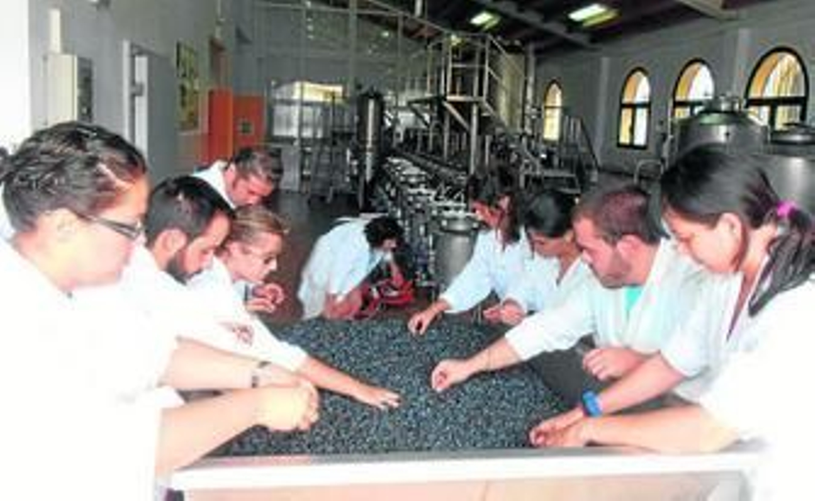 Los alumnos que toman parte en esta práctica, en una de las sesiones de trabajo.