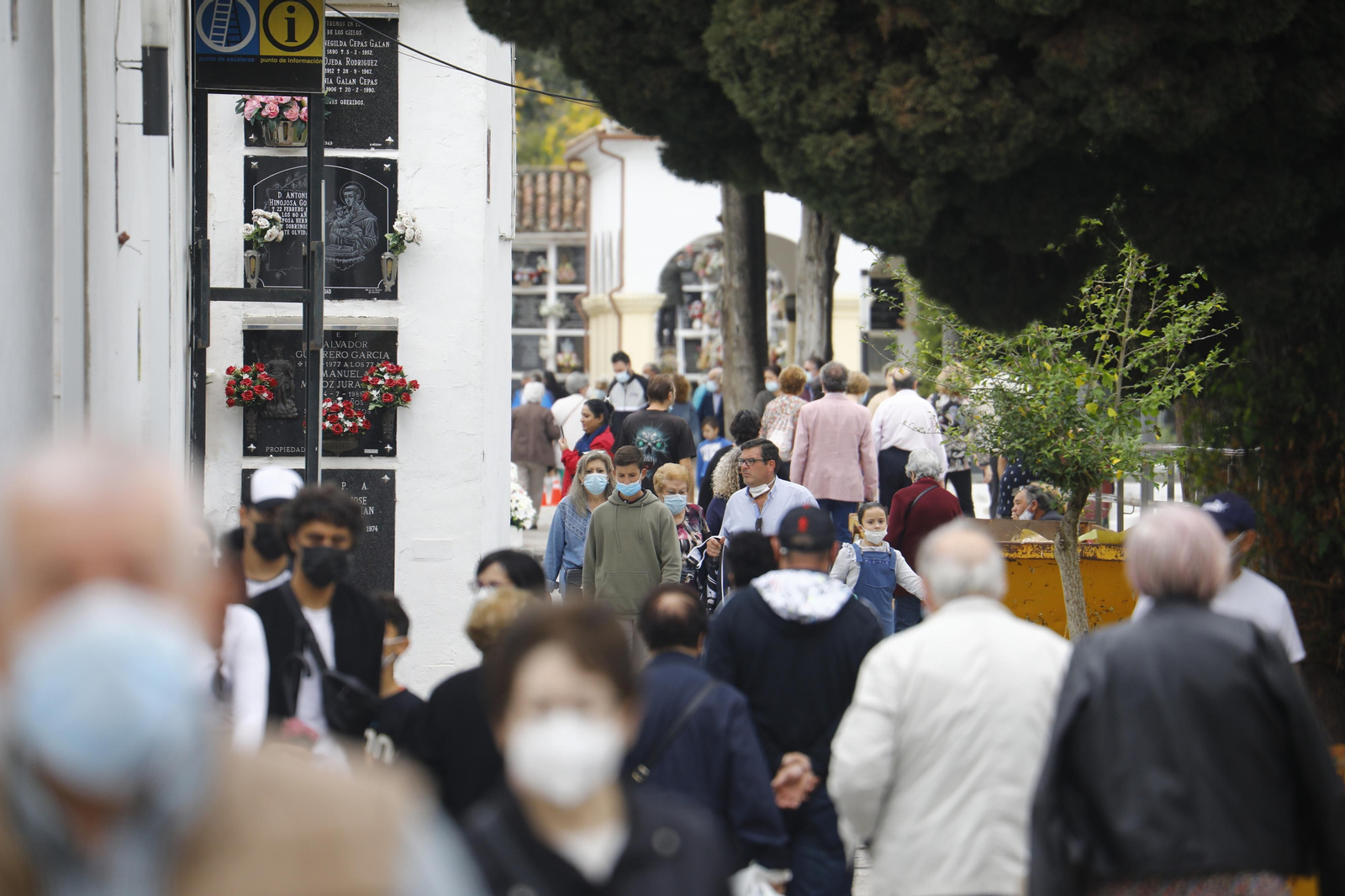 El Día de Todos los Santos de Córdoba, en fotografías