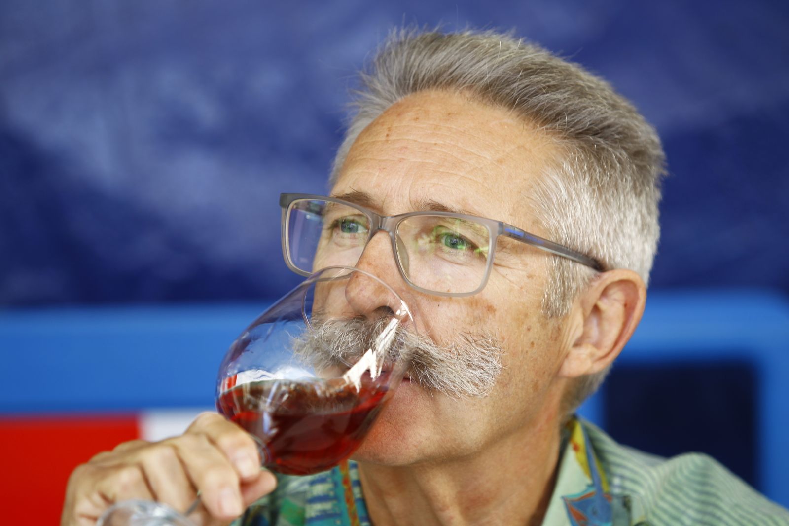 Imágenes de las Fiestas de Abrucena: concurso de mostos, encierro infantil y migas populares