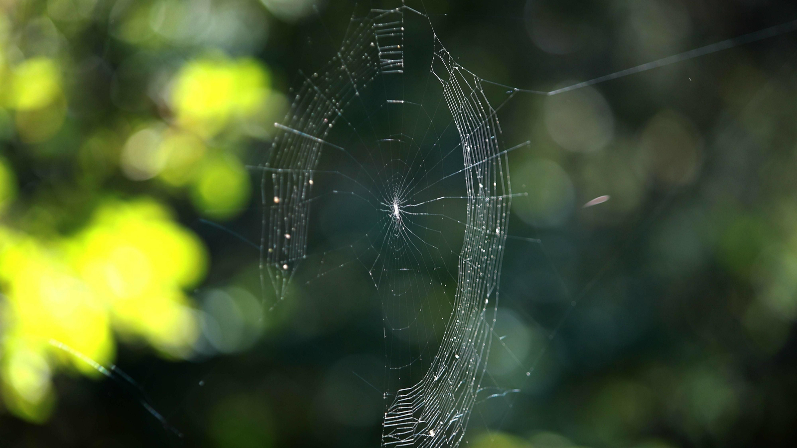 Las mejores fotos del Tajo de las Escobas