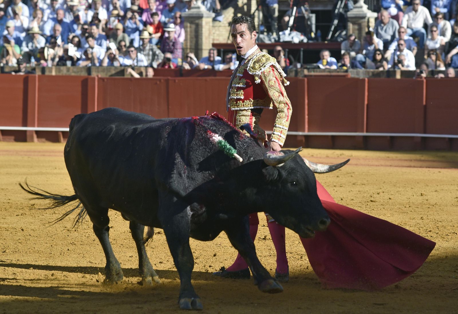 La 14ª de abono en la Real Maestranza de Sevilla, en imágenes