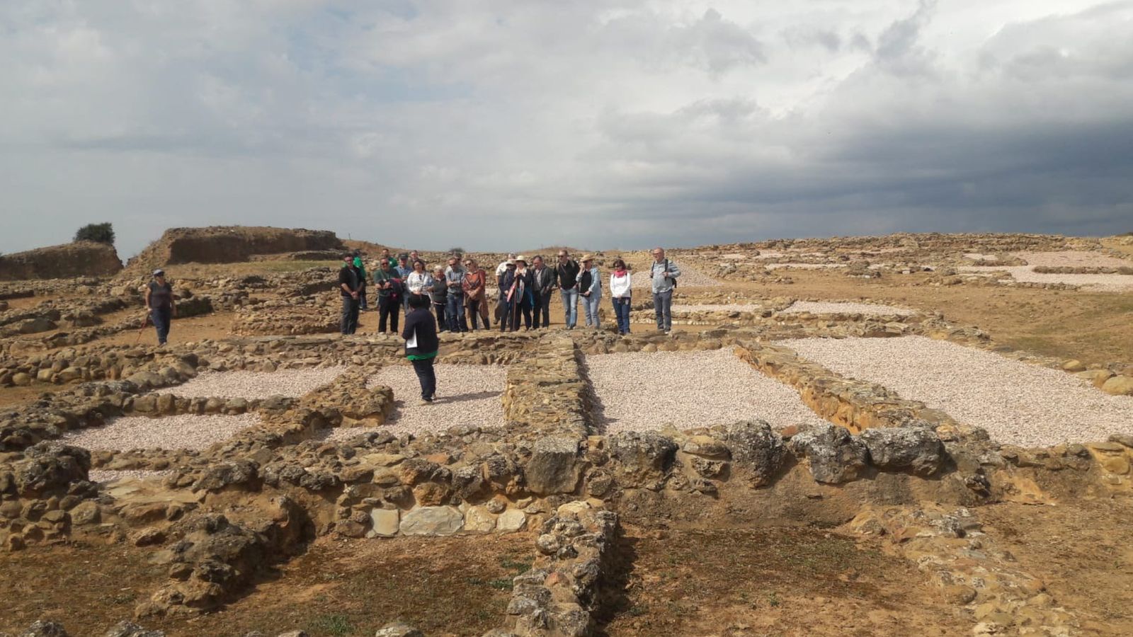 Visita guiada del yacimiento de Tejada la Vieja.