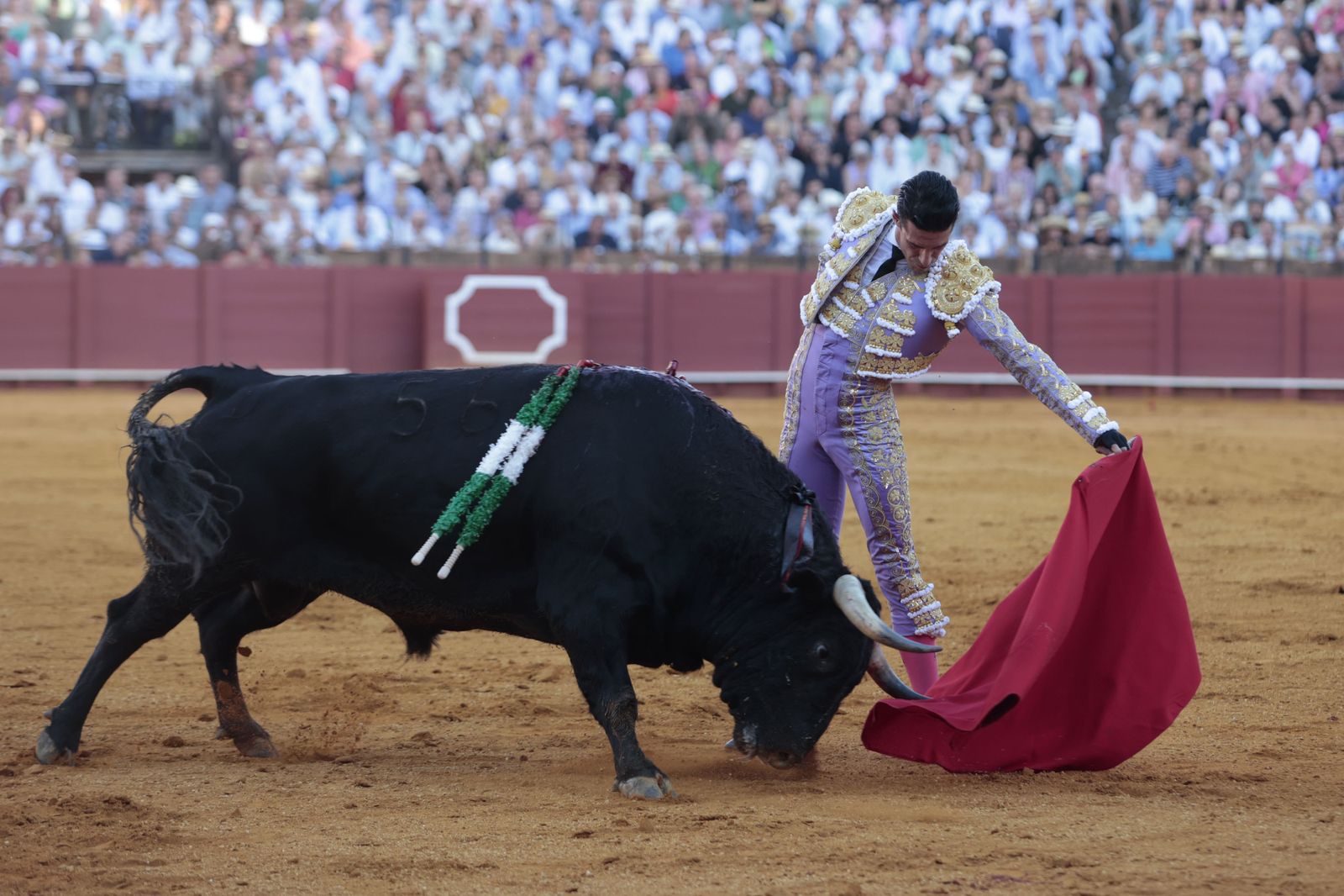 El triunfo de Castella en imágenes