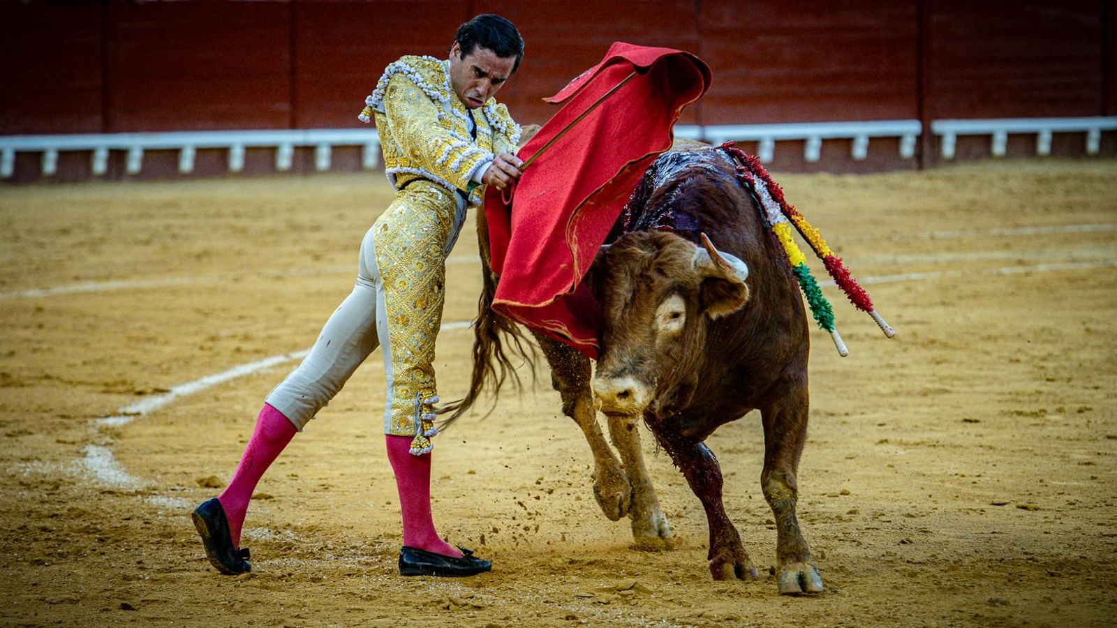 Las imágenes de la corrida de toros en El Puerto: Morante, Talavante y Juan Ortega