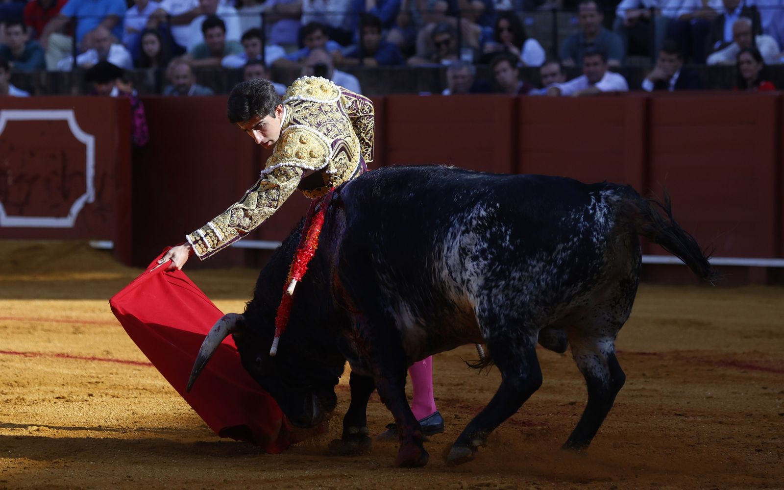Las imágenes de la novillada en la Maestranza