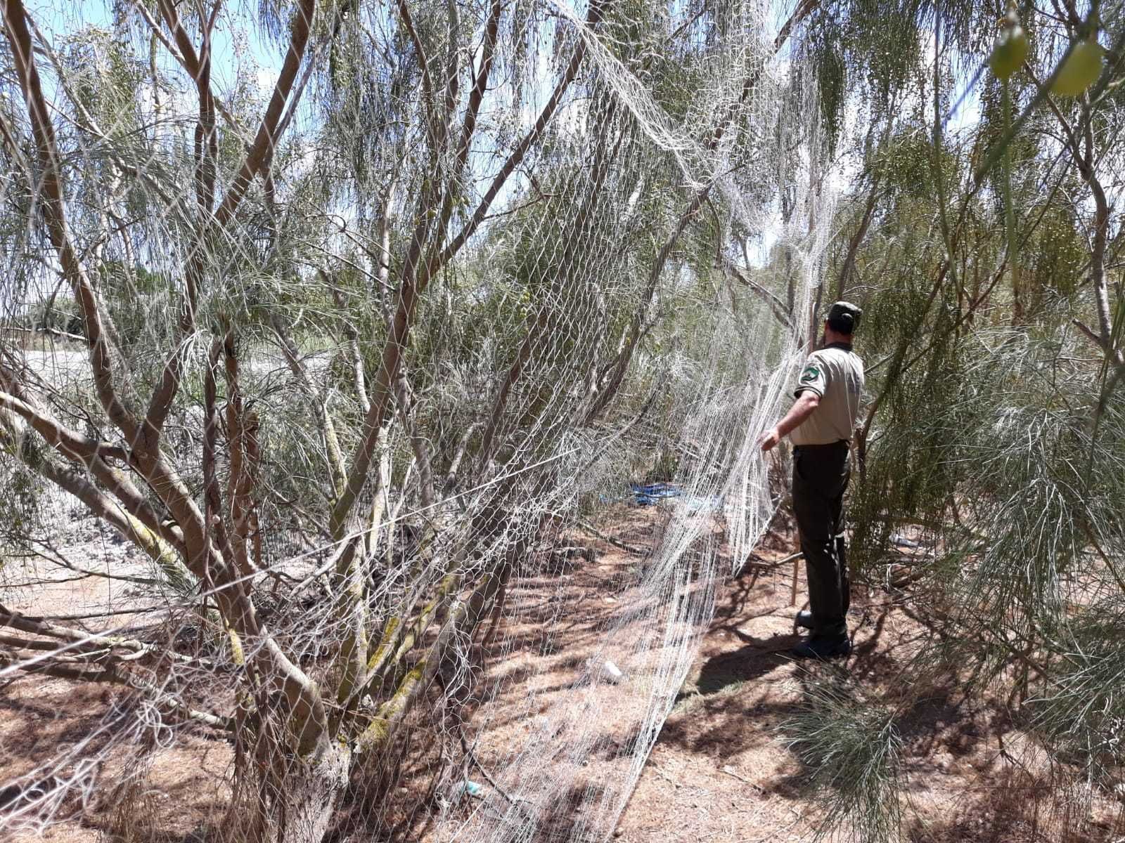 Una de las redes desmontadas por la Guardería Rural de Chipiona.