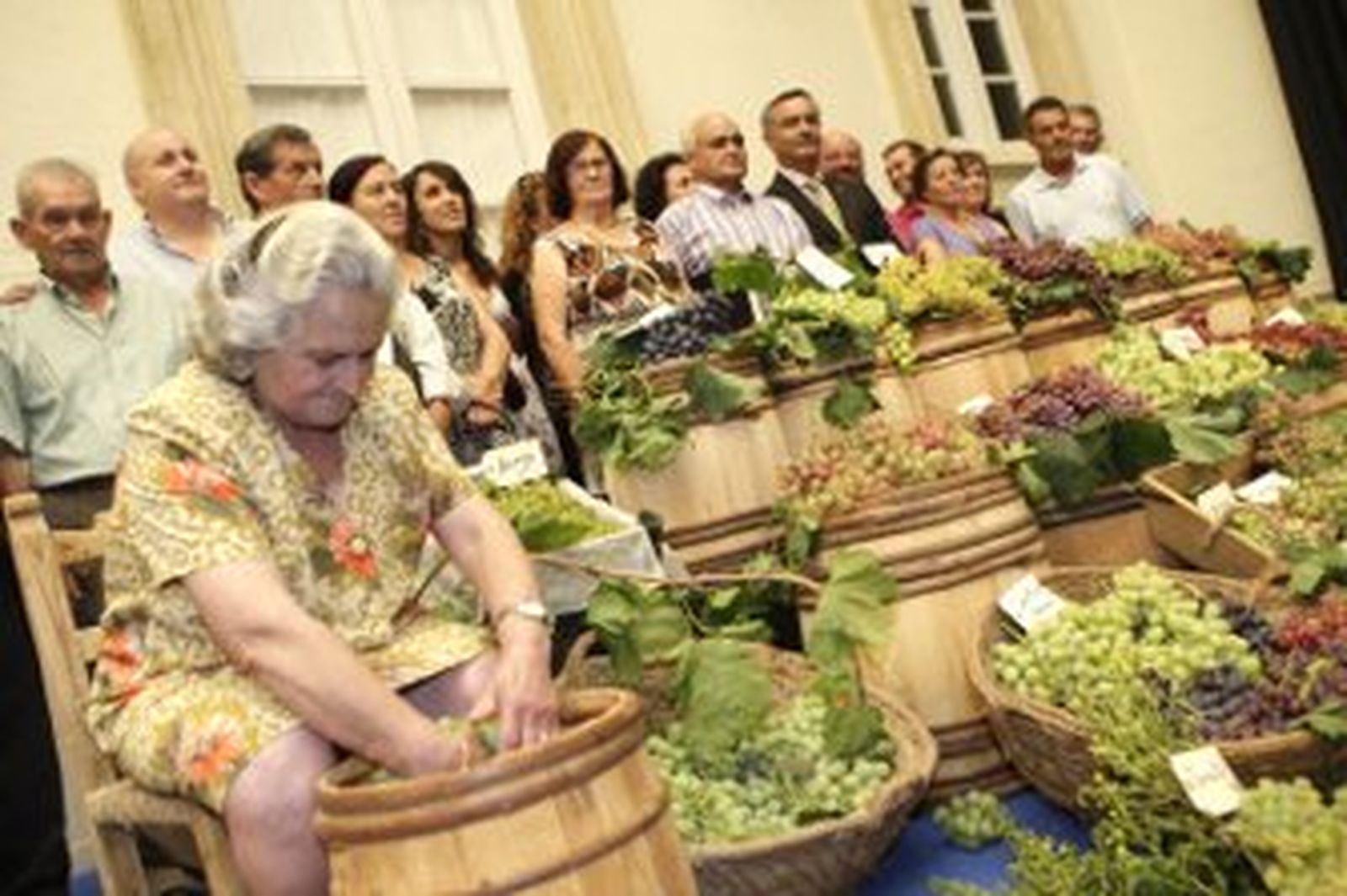 Los parraleros que conservan variedades históricas de uva reciben un homenaje