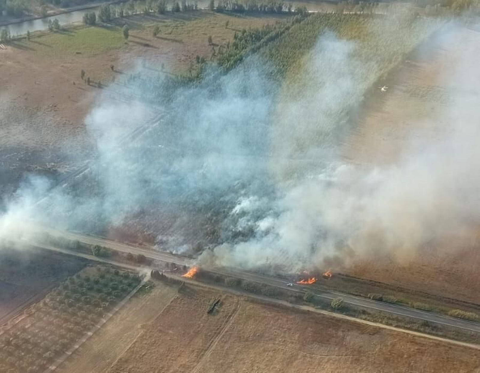 Cortada al tráfico la carretera A-486 por un incendio forestal declarado en Moguer
