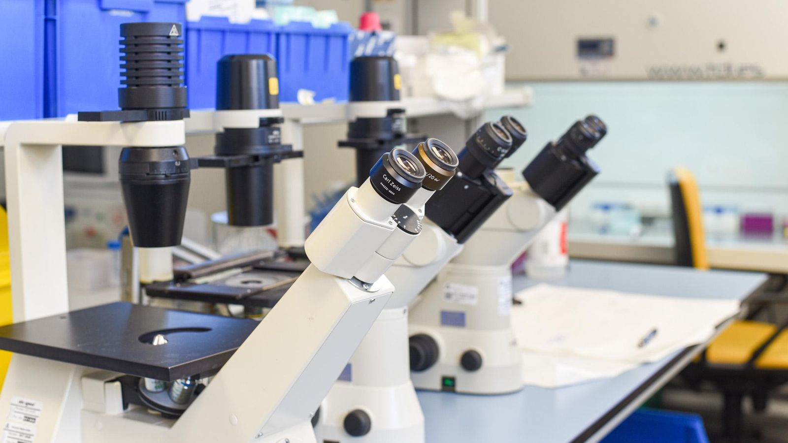 Aparataje en un laboratorio de Terapia Celular del Hospital Reina Sofía de Córdoba.