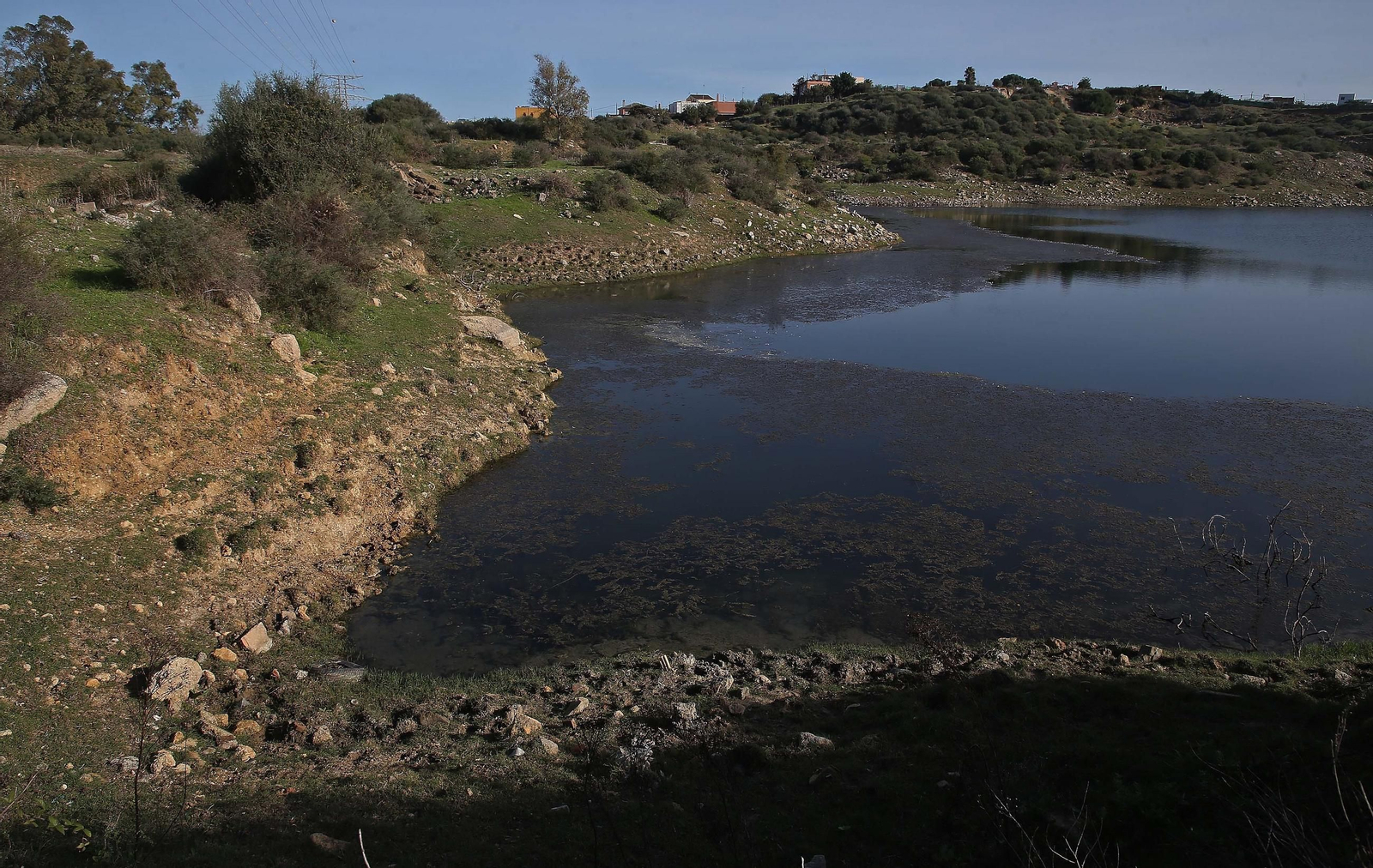 La laguna de la Huerta de las Pilas. La laguna de la Huerta de las Pilas.