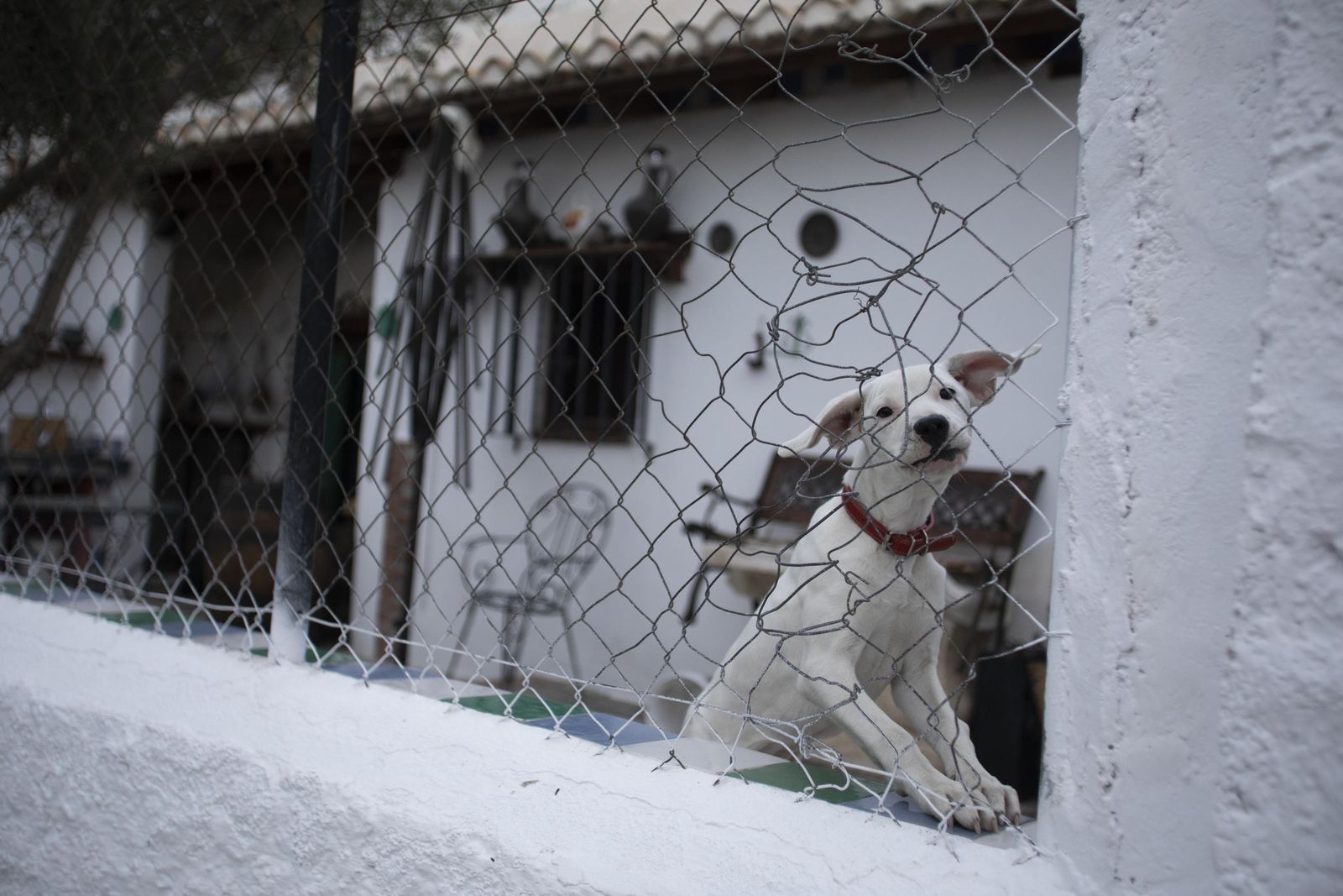 Fotos de San Miguel Alto, el barrio de Granada que pende de un hilo