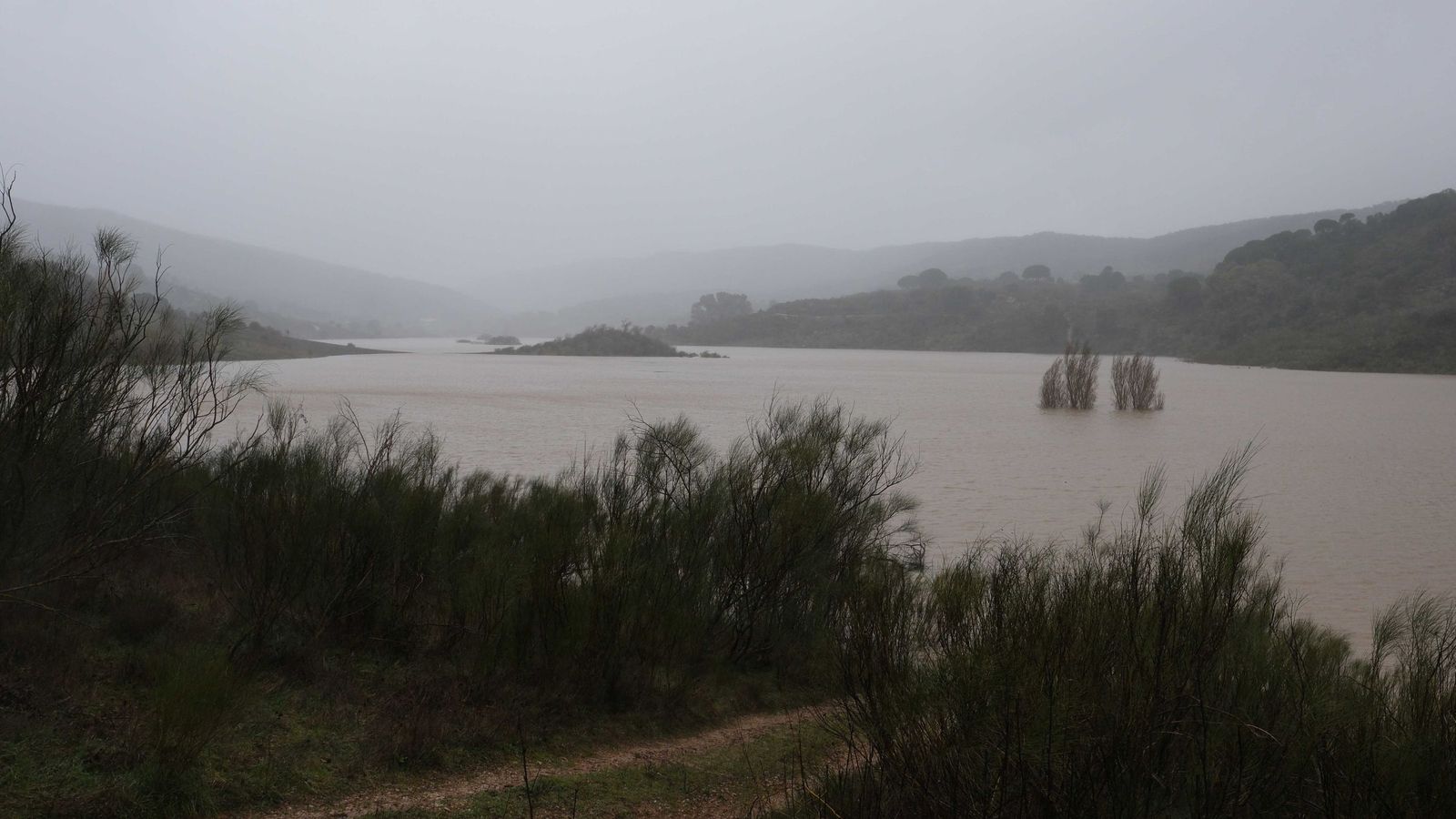 La cola del pantano ya ha formado varias islas en su interior.