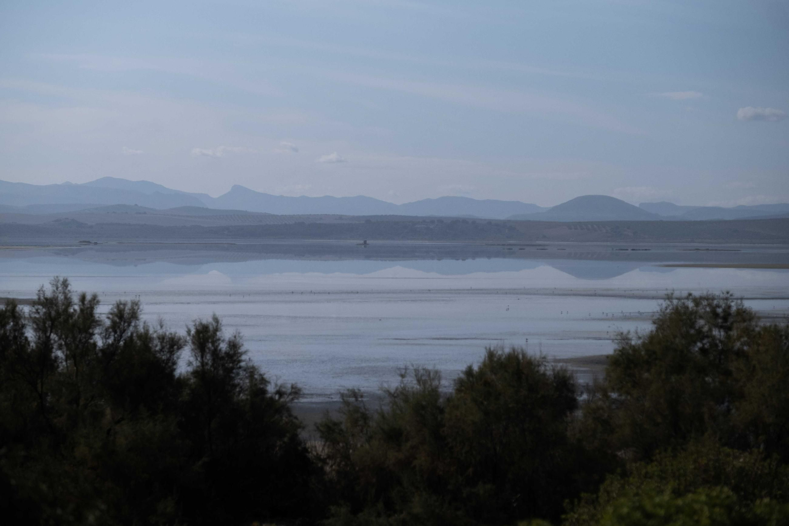 Laguna de Fuente de Piedra tras las lluvias, en fotos