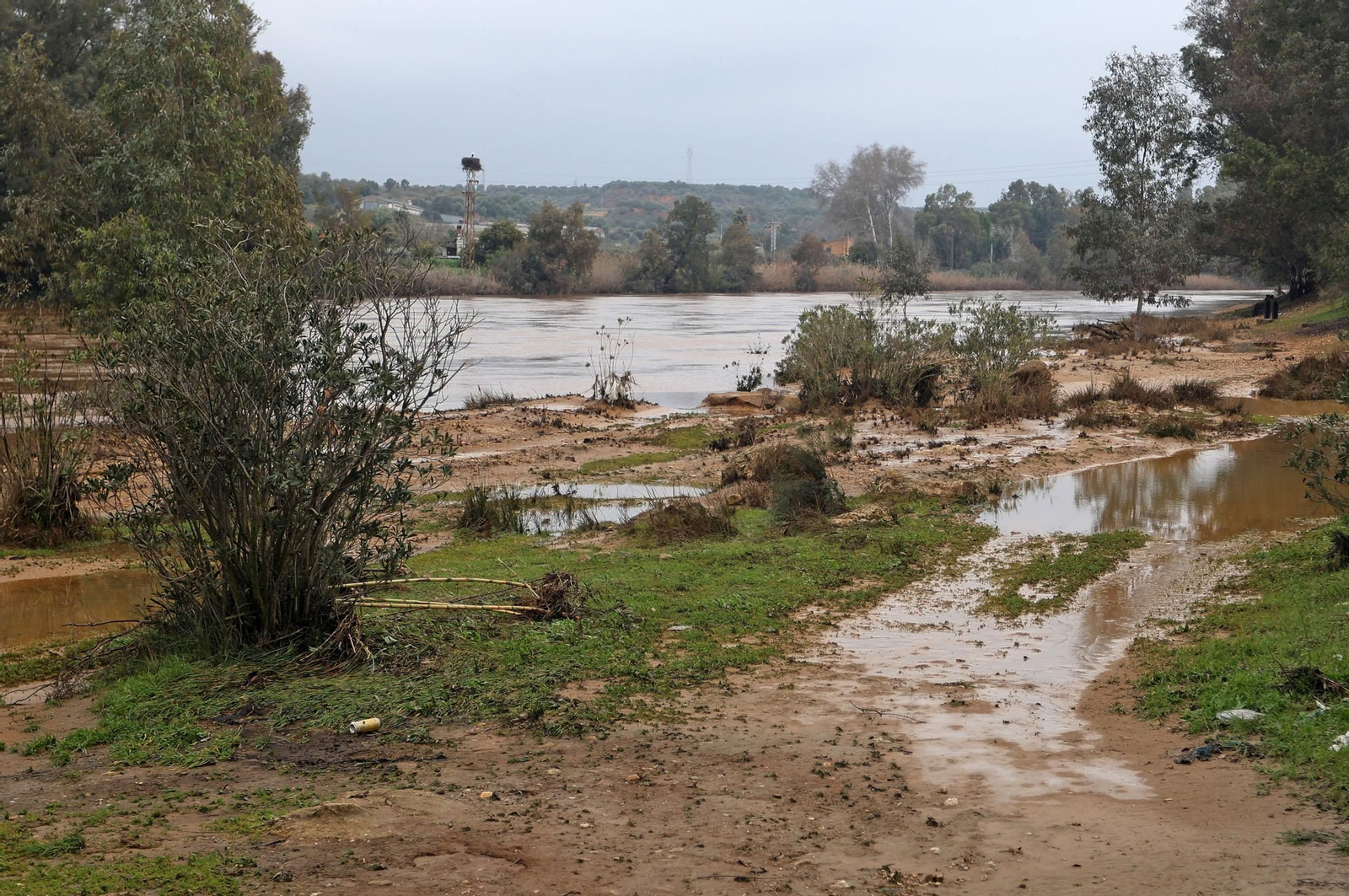 Imágenes del río Tinto a su paso por Niebla tras la borrasca Garoé
